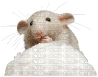 Kaz_Creations Scrap Deco Winter Mouse - PNG gratuit