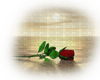 Róża deco3 - 免费PNG