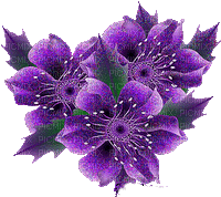 Purple Flowers - 無料のアニメーション GIF