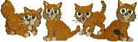 Petz Alley Cat Mixes - GIF animate gratis