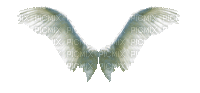 wings flügel coulisses white angel ange engel fantasy tube gif anime animated animation - GIF animado grátis