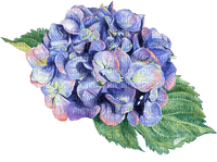 Flowers   Bb2 - png gratuito