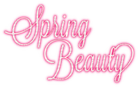 Spring Beauty.Text.Pink - KittyKatLuv65 - Free PNG