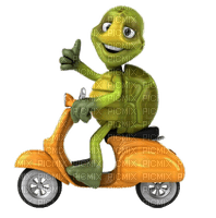 turtle on the road - 免费PNG