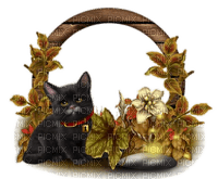 Herbst, Deko, Katze, Autumn - kostenlos png