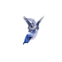 Angel - 免费动画 GIF