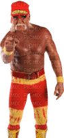 Hulk Hogan - bezmaksas png