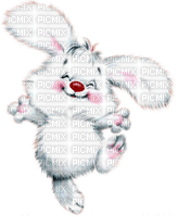 Hase - zdarma png