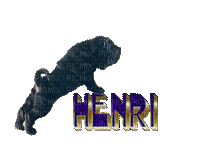 Henri - GIF animado grátis