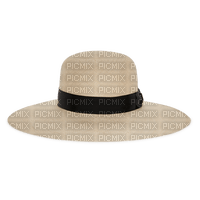 kapelusz - бесплатно png