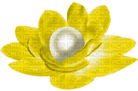 Flower.Pearl.Yellow.White - 無料png