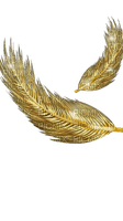 gold feathers - png gratis