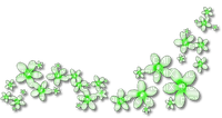 Flowers Green - png gratuito