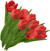 Kaz_Creations Deco Flowers Tulips Flower - 無料png