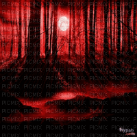 gothique forêt rouge fond gif red goth forest bg