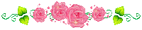 pink roses divider sparkles gif animated - Free animated GIF