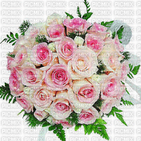 roses pink - Darmowy animowany GIF