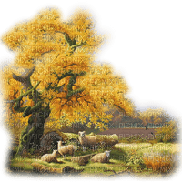 otoño paisage dubravka4 - gratis png