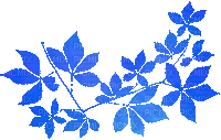 soave deco animated autumn branch liaves blue - Free animated GIF