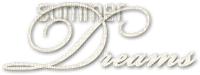 soave text summer dreams white - gratis png