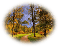 patymirabelle paysage automne - 無料png