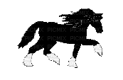 cheval noir et sabot blanc - GIF animé gratuit