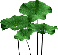 Planta color verde - nemokama png
