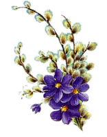 Frühling, Blumen, Weidekätzchen - Free PNG