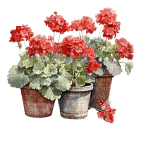 Цветы акварель - zadarmo png
