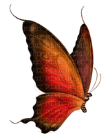 dulcineia8 borboletas - zdarma png