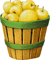 yellow apples Bb2 - 免费PNG