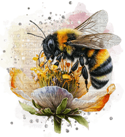 bee, flower, summer, abeille, été - png grátis