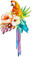 soave deco summer bird tropical parrot flowers - gratis png
