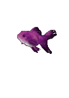 Рыба - Darmowy animowany GIF