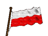 flag - GIF animado grátis