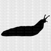 slug - бесплатно png