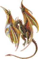dragon 5 - Zdarma animovaný GIF