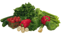 vegetables bp - png ฟรี