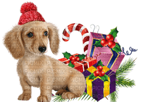 Kaz_Creations Christmas Dog Pup Dogs Colours - besplatni png