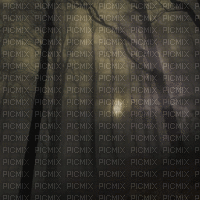Gothic.Forest.Forêt.Landscape.gif.Victoriabea - GIF animé gratuit