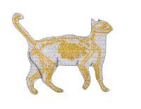 skeleton cat by trash-pngs - PNG gratuit