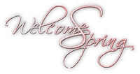 soave text welcome spring pink - δωρεάν png