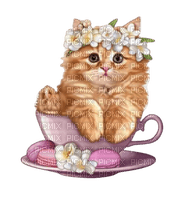 cup/cat - ilmainen png