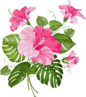 summer ete  flower fleur blumen fleurs blossom  tube palm leaf - безплатен png
