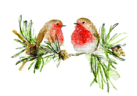 kikkapink christmas deco bird birds - besplatni png