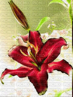 image encre animé effet fleur - Безплатен анимиран GIF