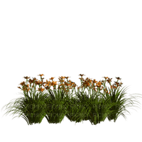 Kathleen Reynolds Grass Flowers Leafs - Free PNG