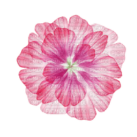 pink flower Bb2 - gratis png