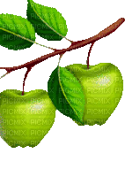 apple spas - GIF animasi gratis