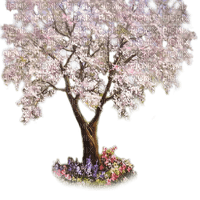 arbol primavera  dubravka4 - PNG gratuit